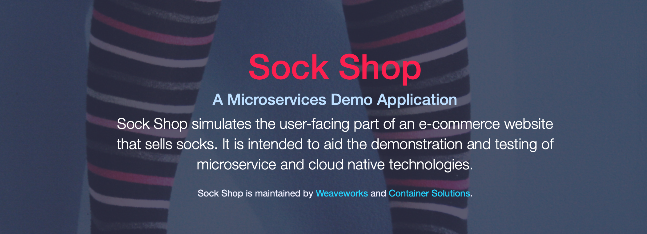 Sock Shop 소개